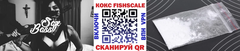 Кокаин Fish Scale  ссылка на мегу онион  Ейск 